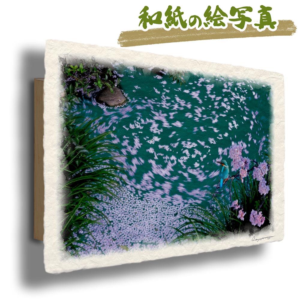 和紙の絵写真 「カワセミと湧水の桜の花筏」 パネル付き 48x33cm 絵画