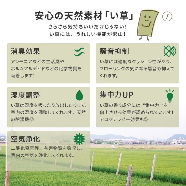 裏貼り畳の保護