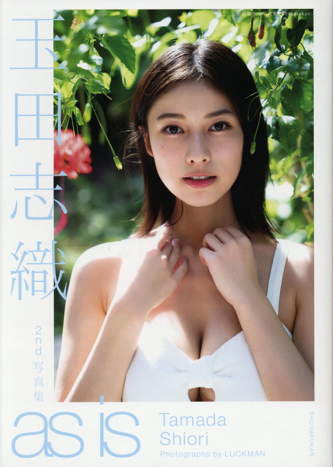 玉田志織 サイン色紙2枚 サイン入り 玉田志織 玉田志織写真集 2nd写真集 as is - メルカリ