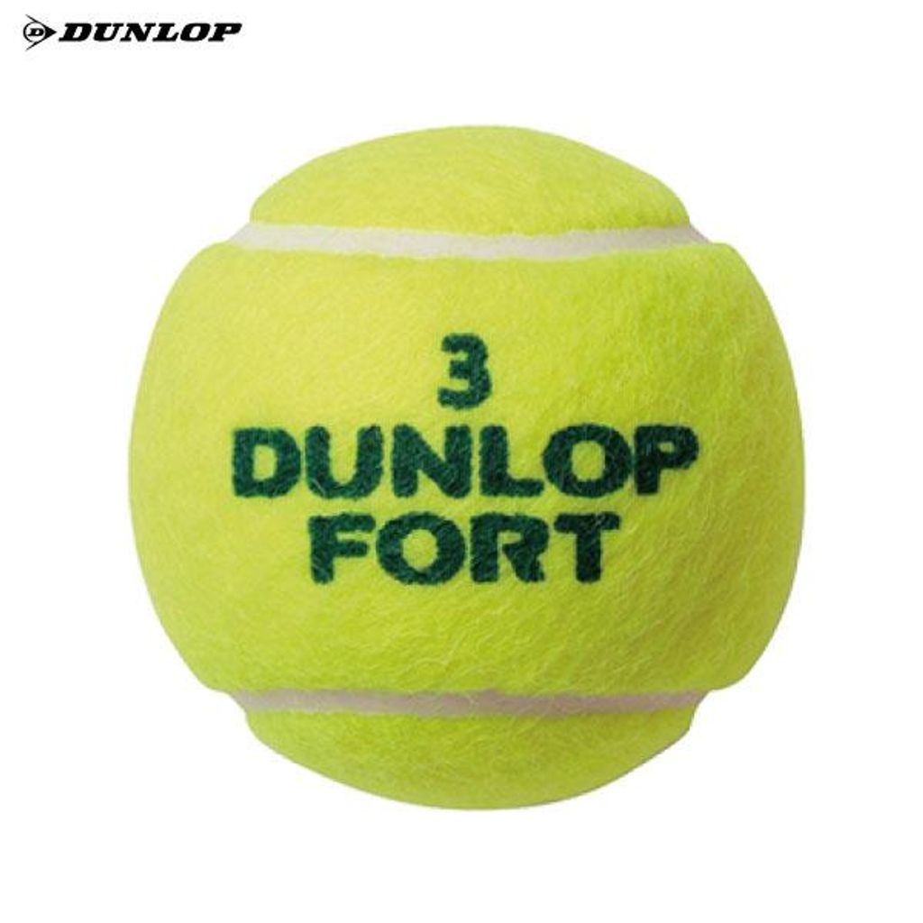 Dunlop Fort ダンロップフォート テニスボール 4球入り24缶セット ダンロップ(DUNLOP) 硬式テニスボール フォート 4球入缶 (FORT