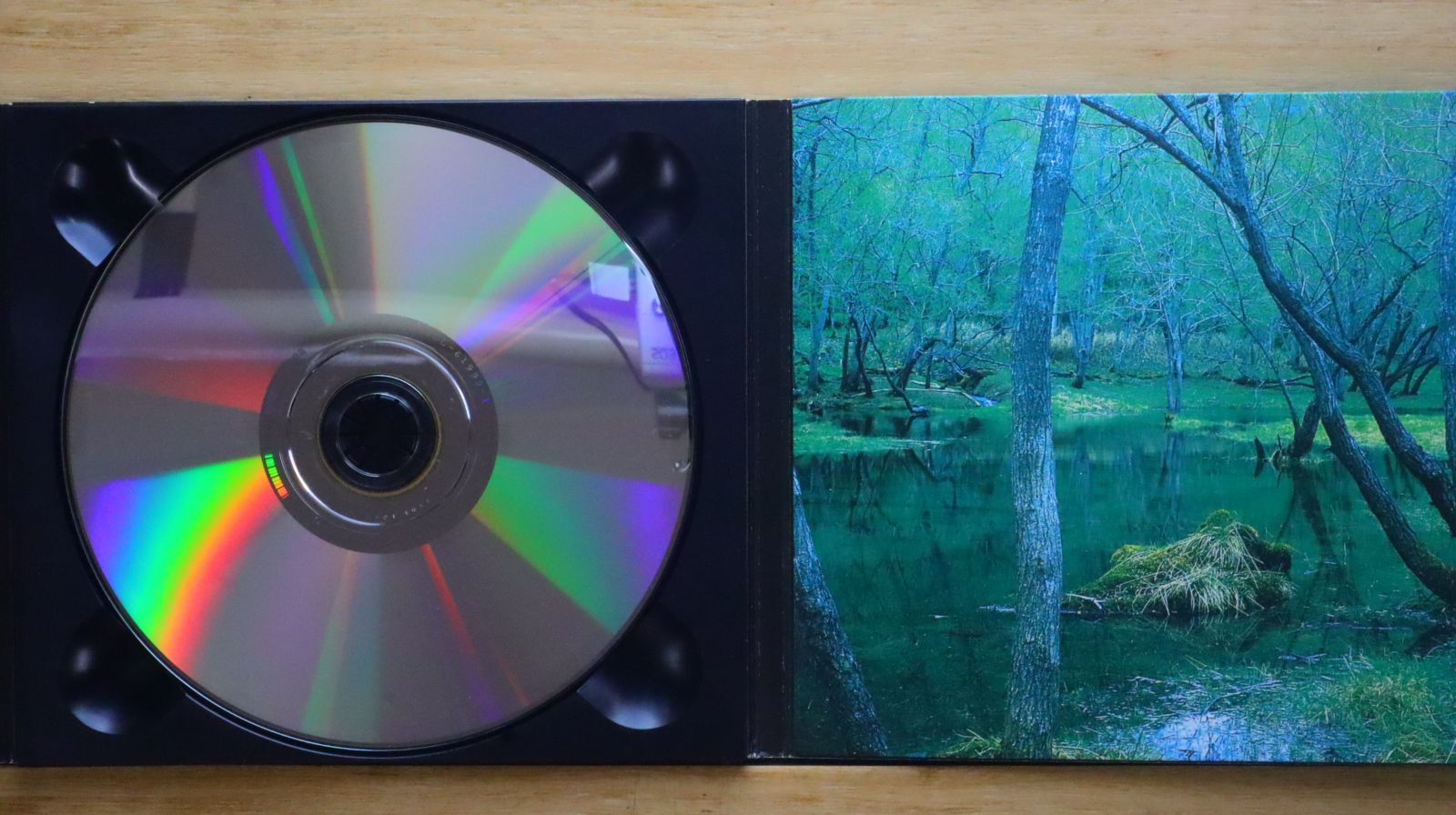 V系★アリプロ【月光嗜好症＆COLLECTION SIMPLE PLUS】CD V系☆アリプロ【月光嗜好症＆COLLECTION SIMPLE PLUS】CD - メルカリ