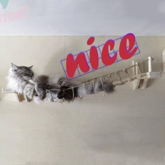 はしご
