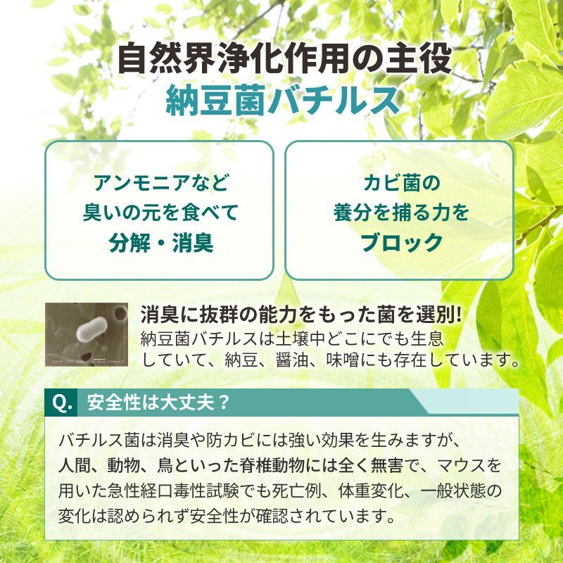 猫 犬
