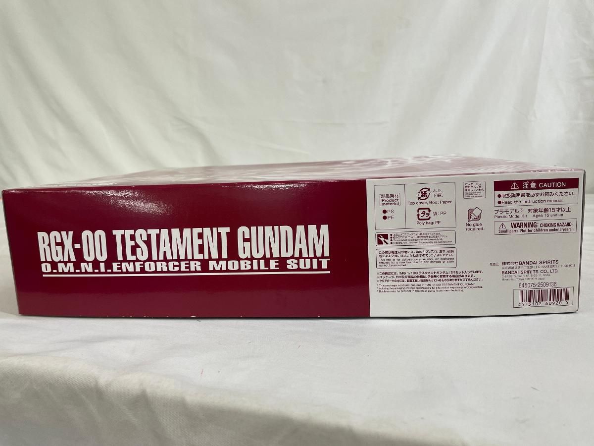 1 100 MG ZGMF X 12 A RGX 00 テスタメントガンダム 機動戦士ガンダムSEED DESTINY ASTRAY