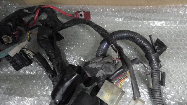 APE エイプ
