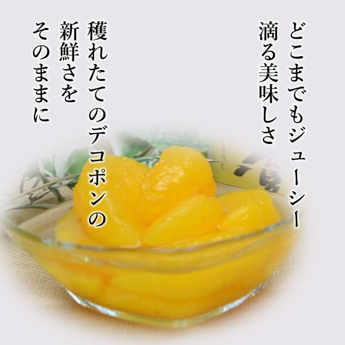 熊本県産【デコポン缶詰】でこぽんフルーツ缶詰め 『24缶詰