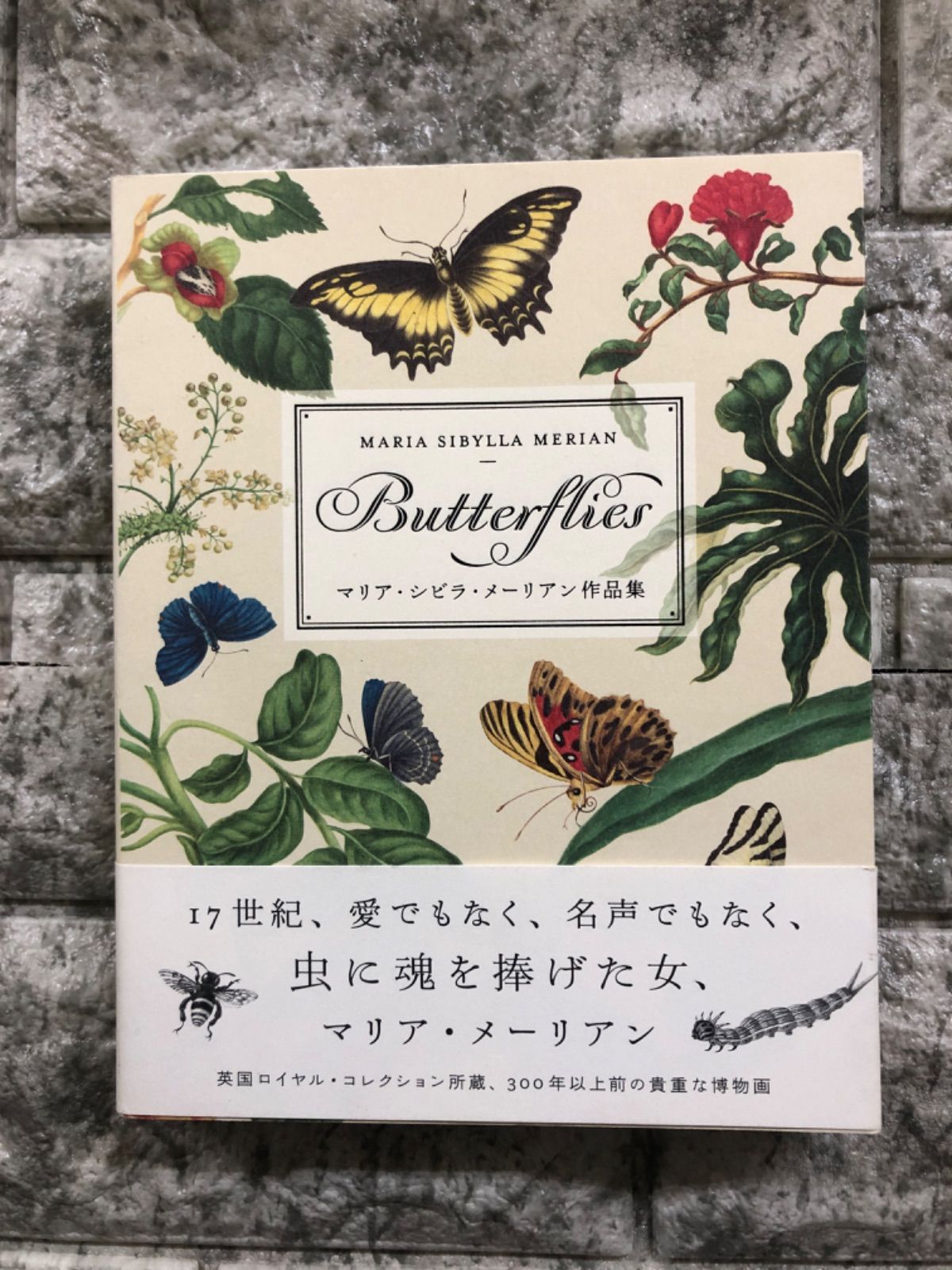 作品集マリア・シビラ・メリアンNEW BOOK OF FLOWERS