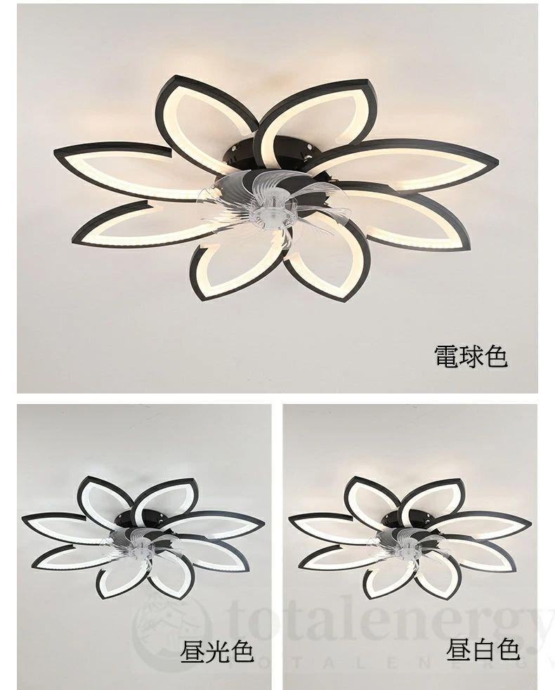 LED