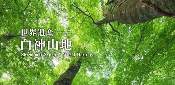 公式サイト 秋田県産令和４年産 新米 あきたこまち25kg 特別栽培米