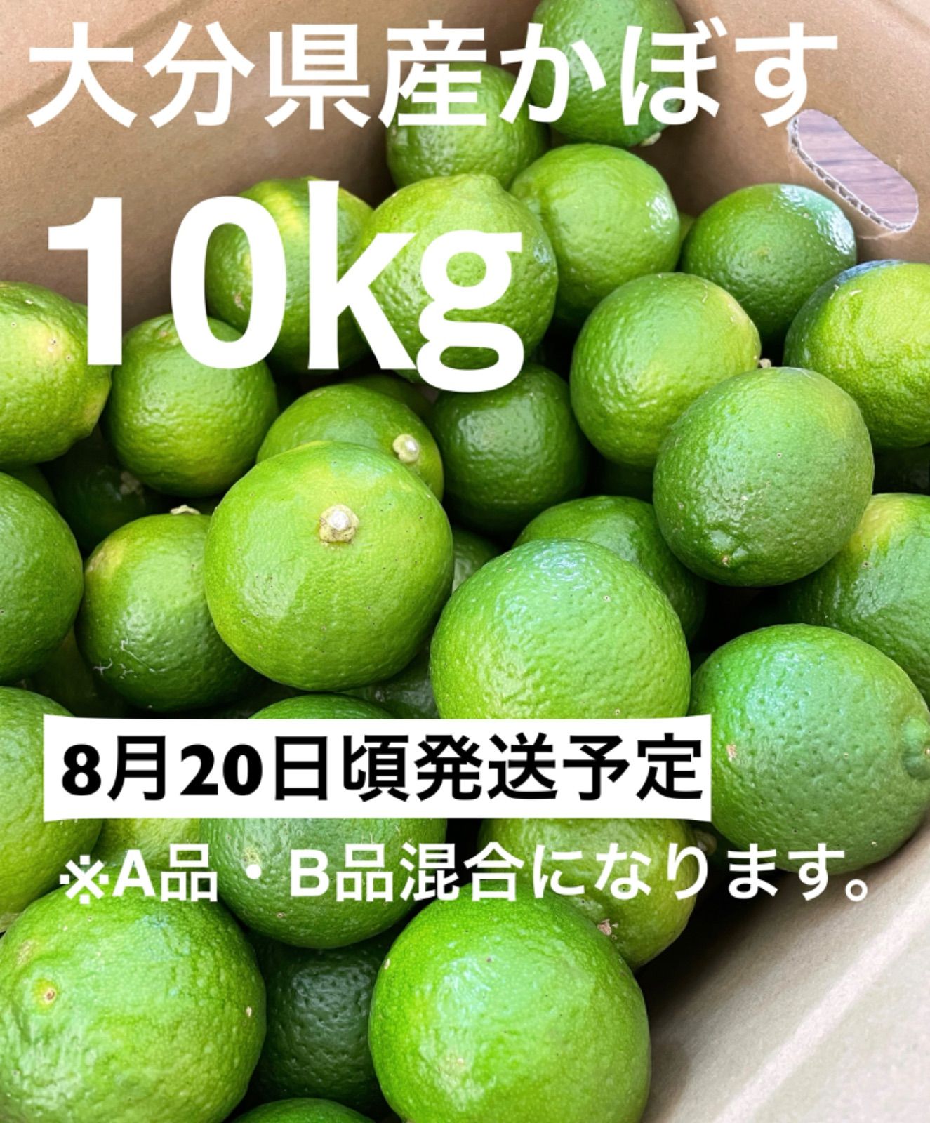 大分県産カボス（かぼす 大分県産！カボス かぼす 2キロ：大分県産のみかん・柑橘類