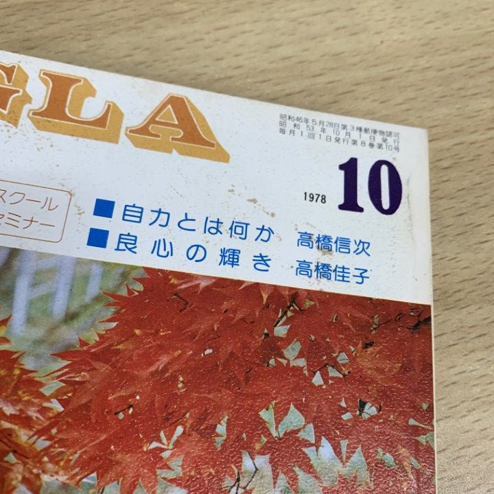 GLA月刊誌1981年3.4月以外 10冊まとめ売り 高橋佳子 GLA月刊