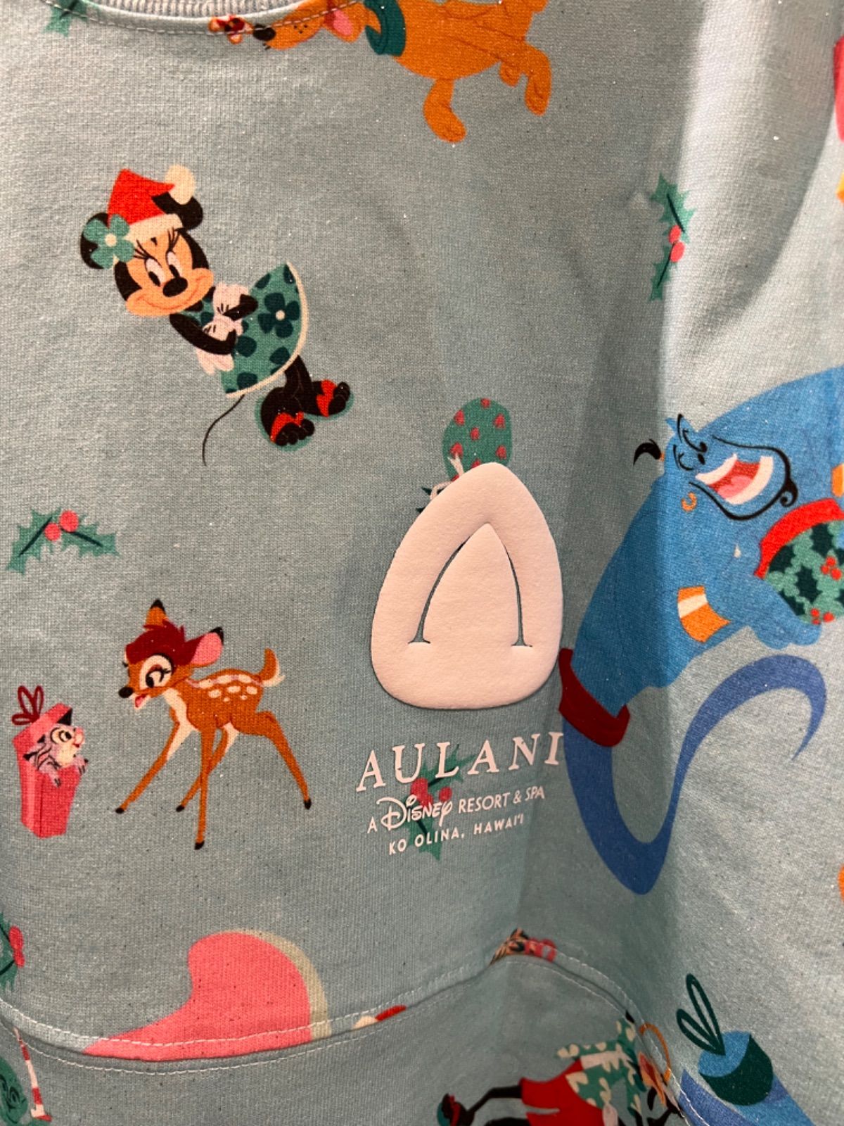 2023年 New Spirit Jersey Disney クリスマス スピジャ Hawaii