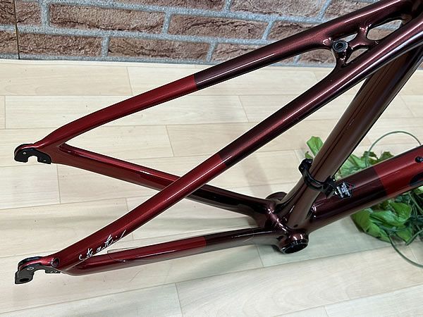 ☆ テルスポ イチ推し!! 極上品!! 希少!! SARTO DINAMICA FRAMESET