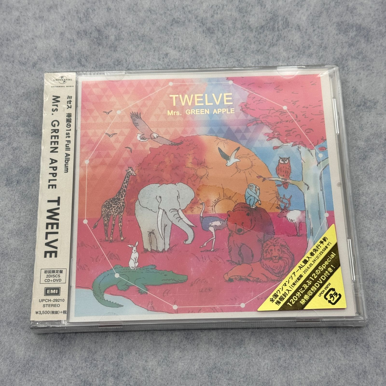 Mrs. GREEN APPLE TWELVE 初回限定盤 アルバム 【公式通販】
