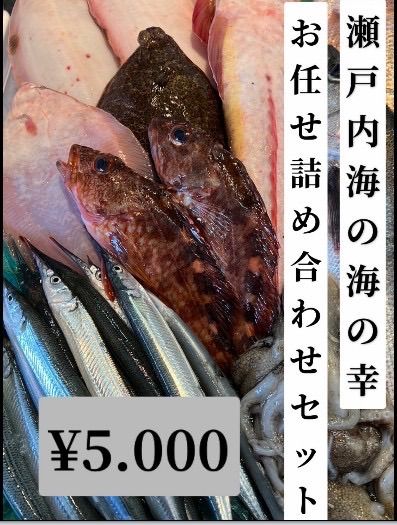 有馬鮮魚　瀬戸内海の海の幸　店長お任せ5,000セット