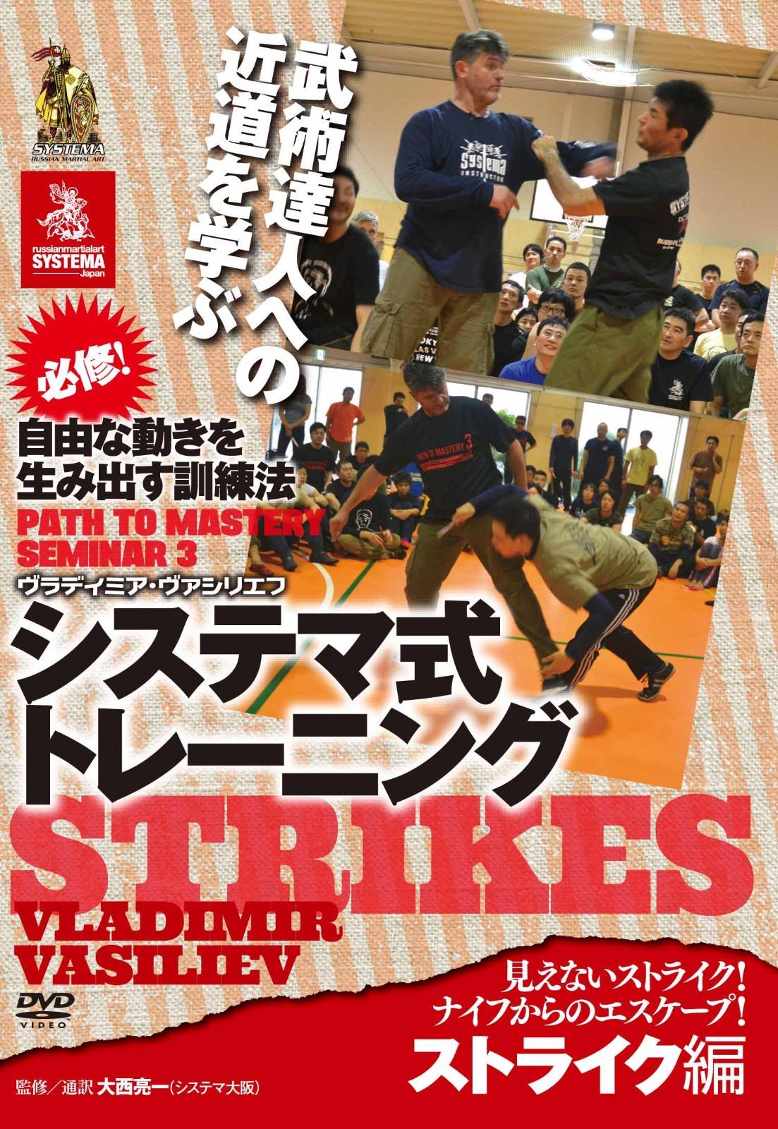 自由な動きを生み出す訓練法 システマ式トレーニング ストライク編 [DVD]