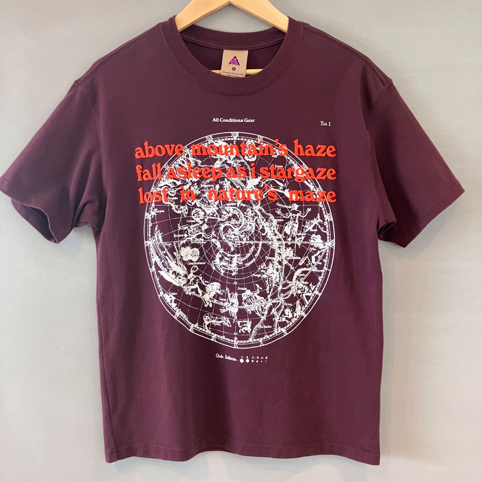 NIKE - NIKE ACG STARGAZE TEE ナイキ Tシャツ スターゲイズの