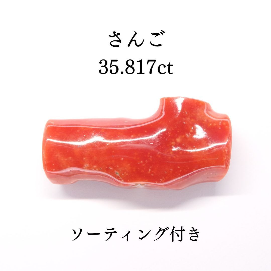 ガーネット ネックレス チェーン付 Z5794 0.785ct プラチナPt 