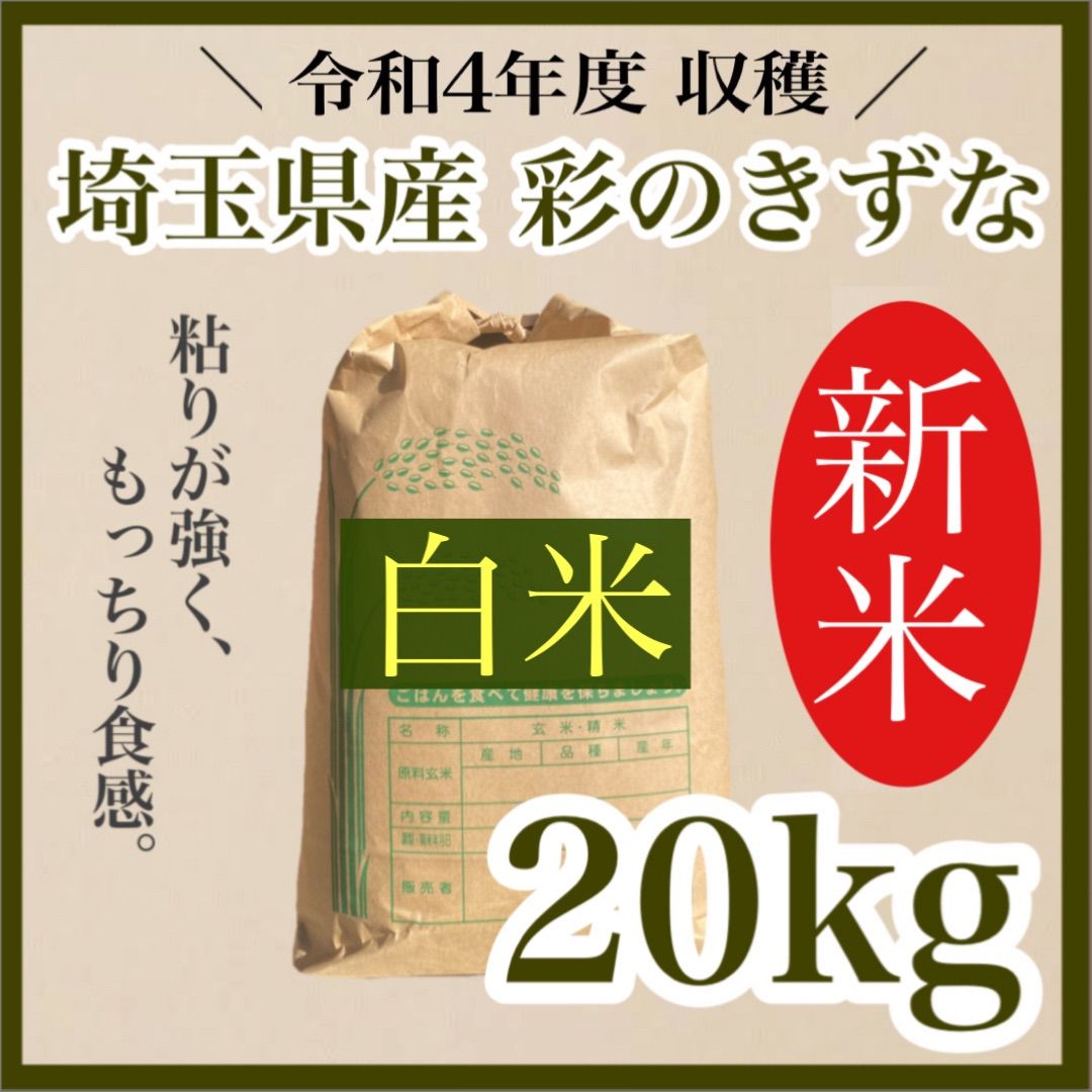 白米　20kg 彩のきずな　新米　埼玉県産　令和4年産　送料無料　米　20キロ