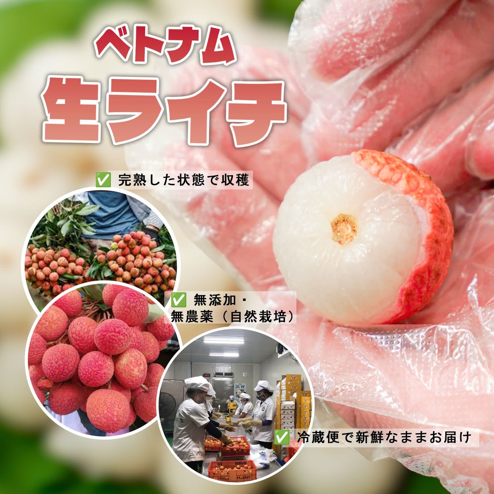 北海道限定】ベトナム産生ライチ 2kg 送料無料 - メルカリ