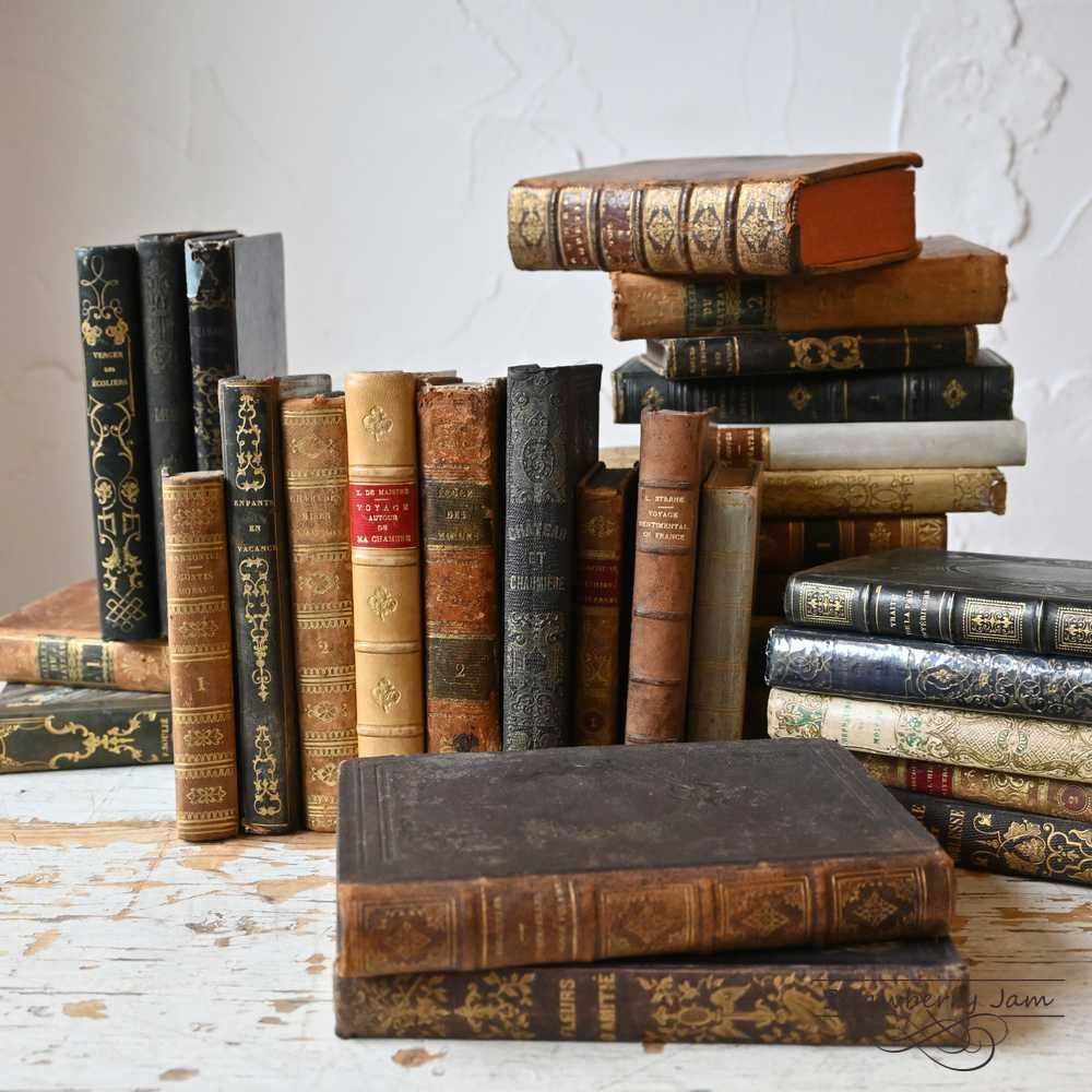 L3602-25 送料込！フランスアンティーク 1703年 洋書 古書 L3602-25 フランスアンティーク 1703年 洋書 古書 レザーブック
