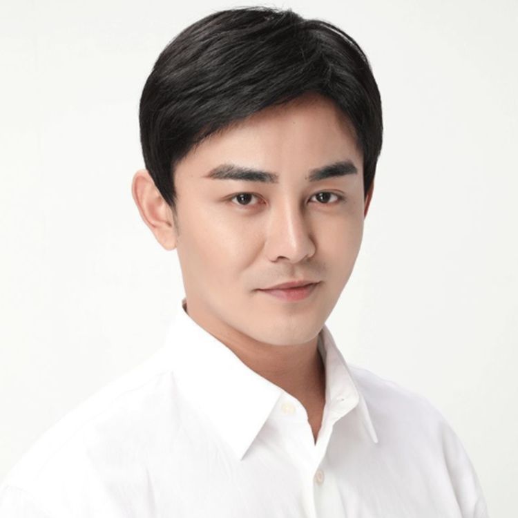 人毛100%! メンズウィッグ 男性用かつら メンズウイッグ 人毛100%! メンズウィッグ 男性用かつら メンズウイッグ