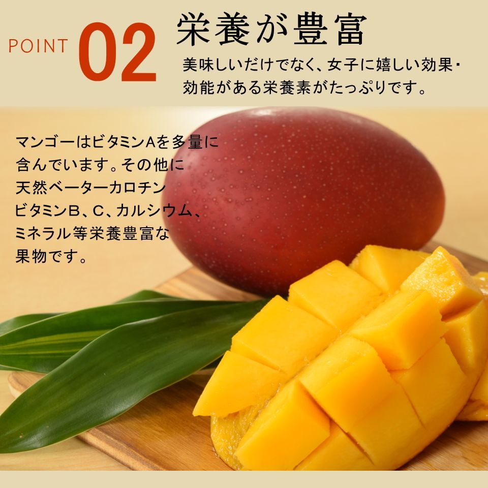 贈り物 宮崎県産