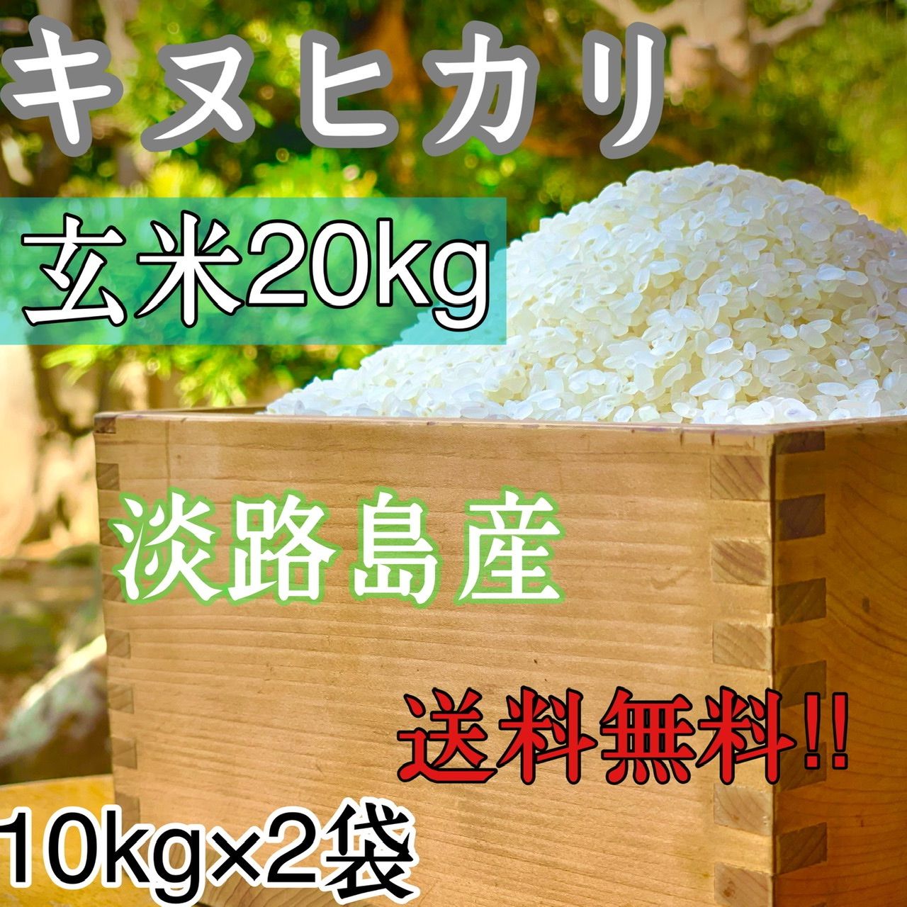 農家直送!!淡路島産 ツヤツヤ♩キヌヒカリ20kg