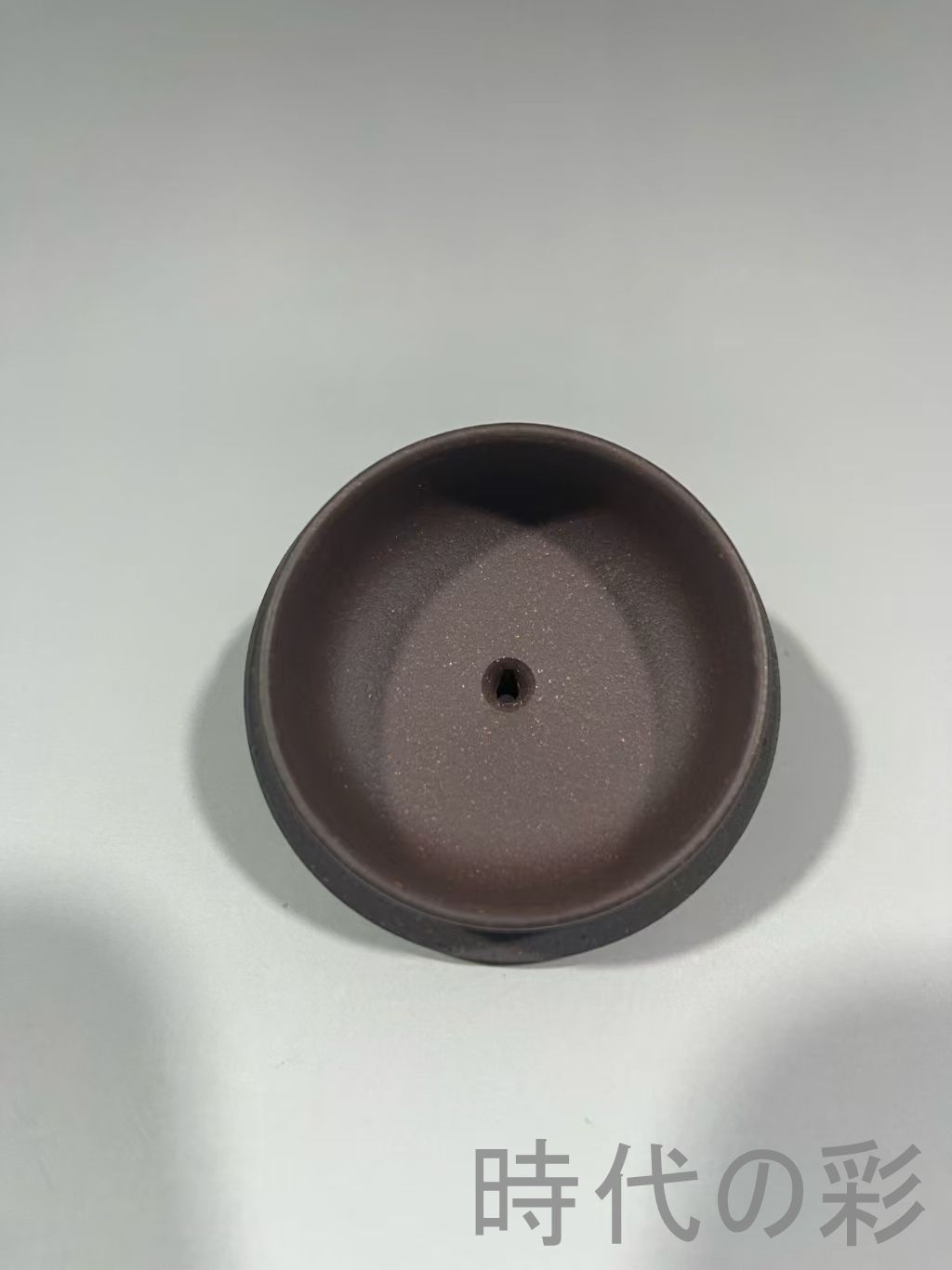 ユッカ ロストラータ (せ) ブルー強め ユッカ ロストラータ (せ