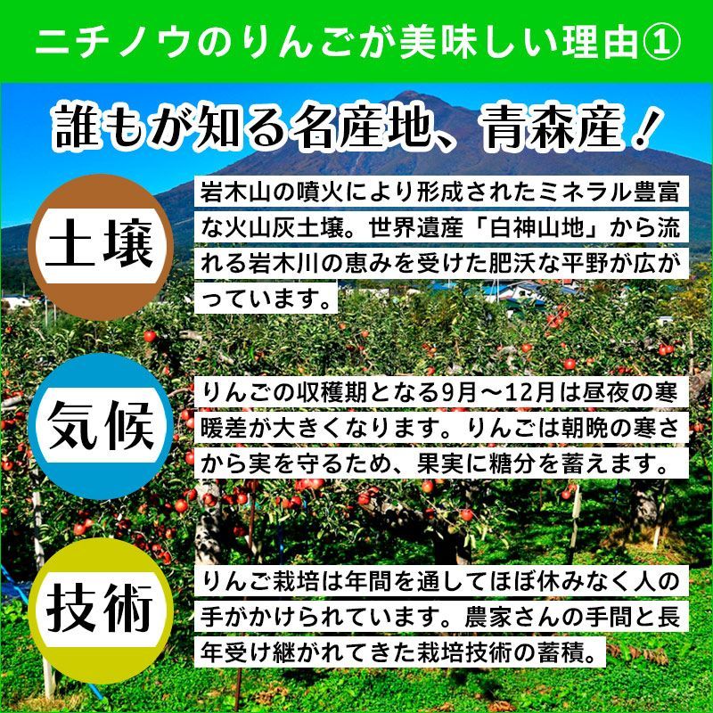 10キロ 産地直送