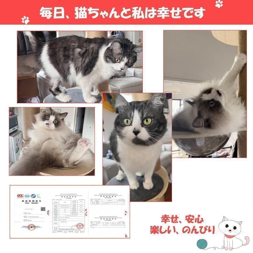 高さ240-257cm対応