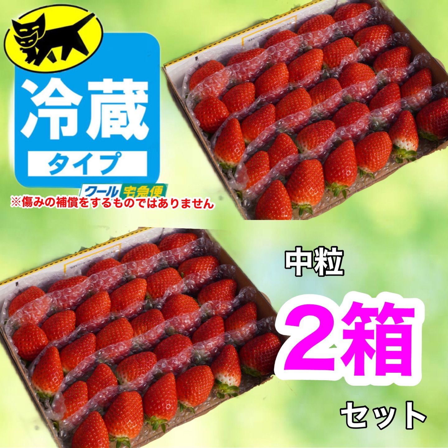 ②箱【クール便】愛媛県産新鮮朝採りいちご - メルカリ