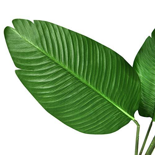 植物 フェイク