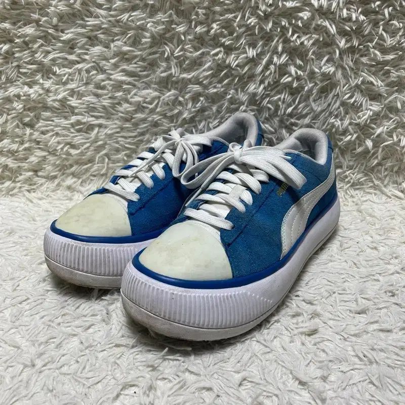 245 PUMA SNEAKERS PUMA(プーマ) スニーカー/一般 スニーカー