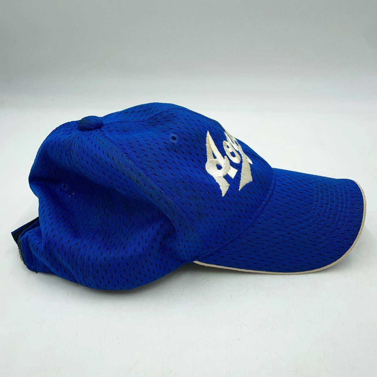 青山学院大学 硬式野球部 2014年 キャンプ 帽子 キャップ 東都大学野球