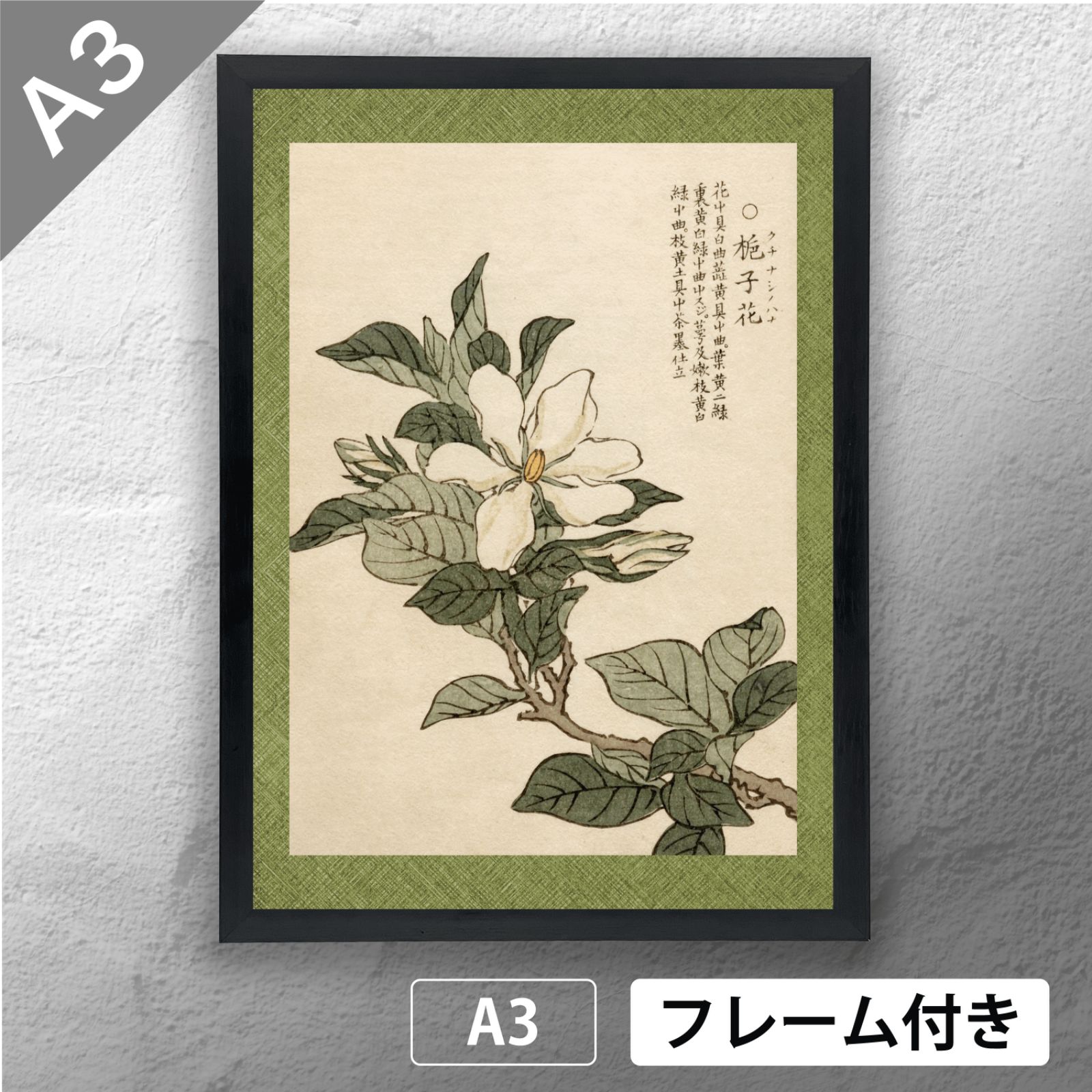 幸野楳嶺 「千種の花 クチナシノハナ」 ボタニカルアート 日本画