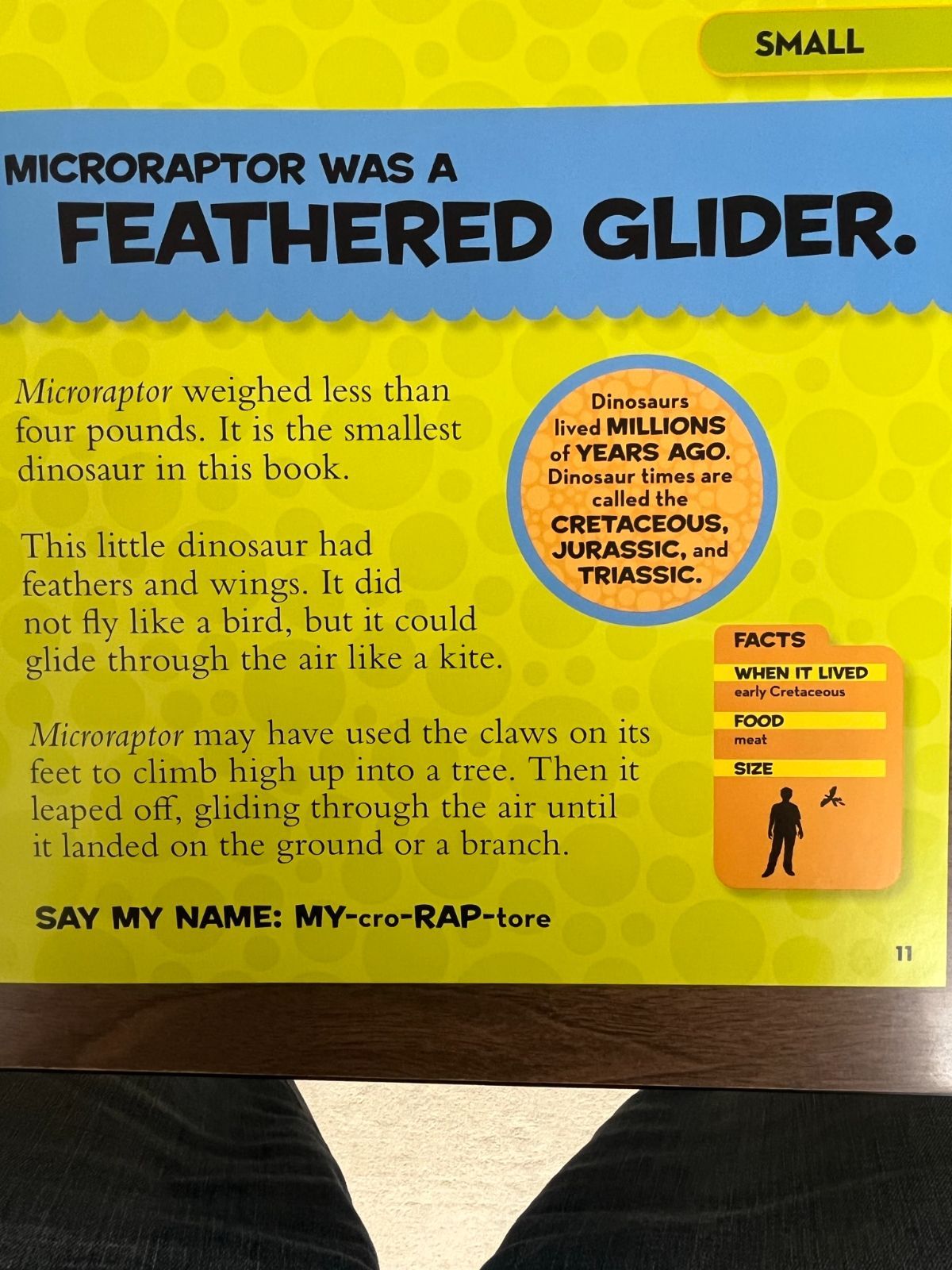 National Geographic Little Kids First Big Book of Dinosaurs