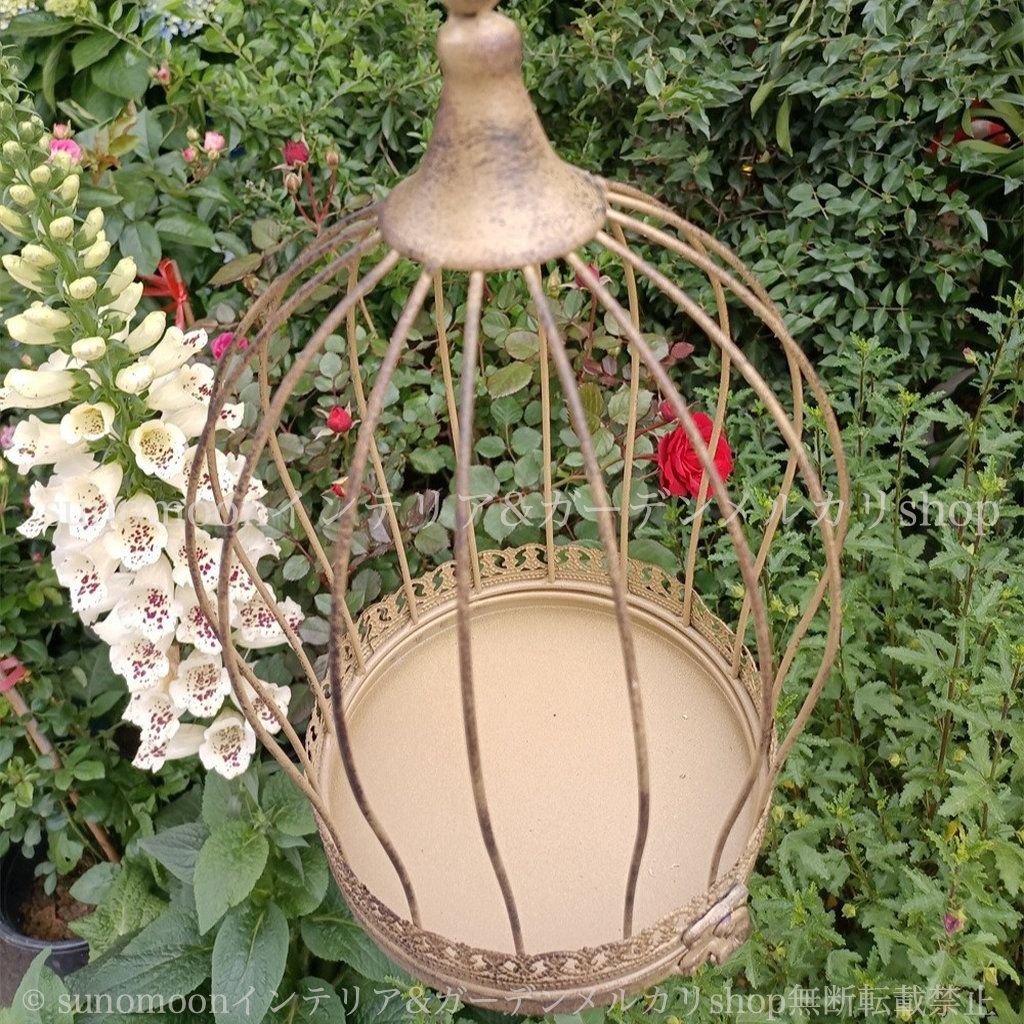 シャビーシック