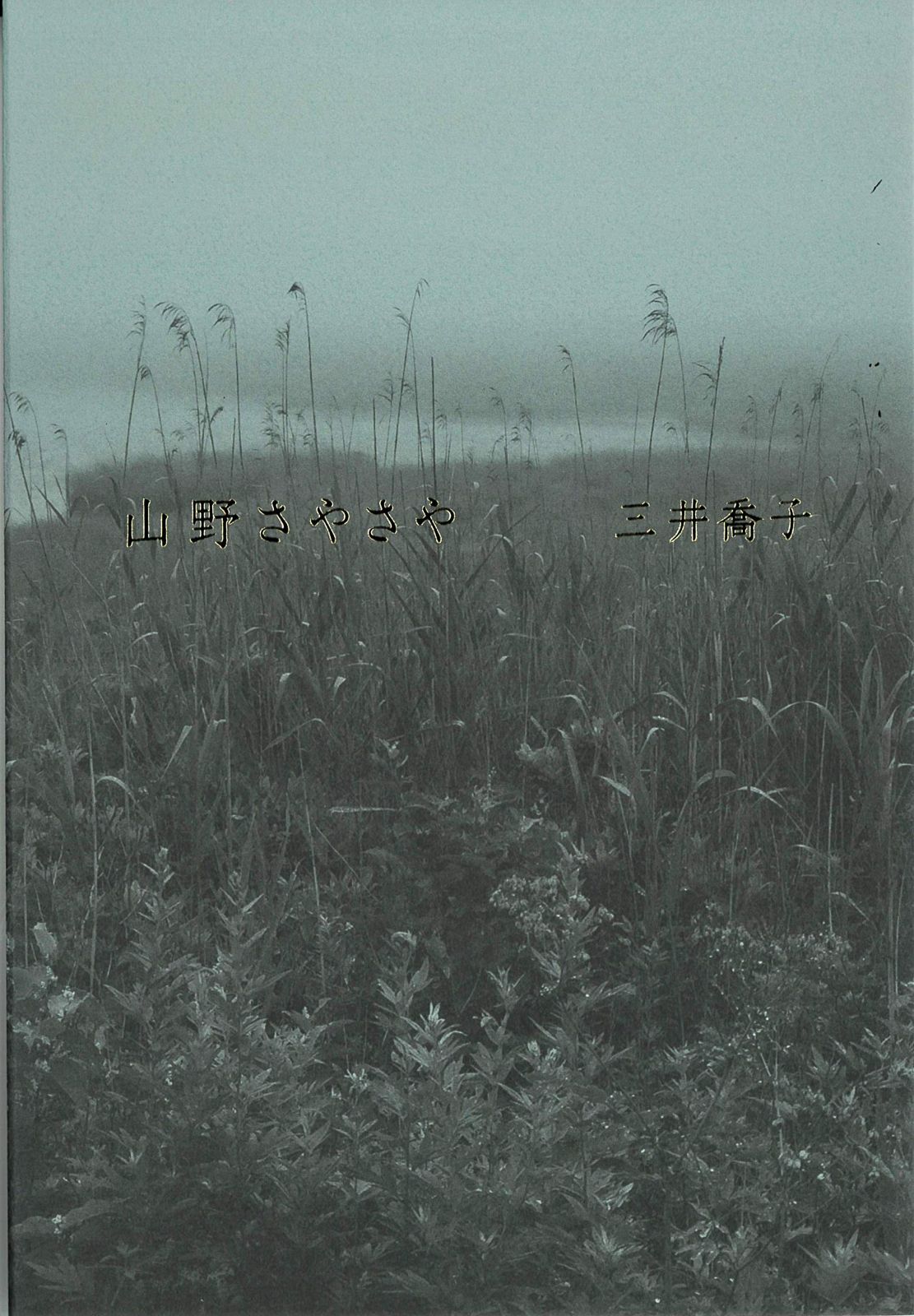 Seventeen アメリカ 限定 ウィンドブレーカー トレカ ホシ ①