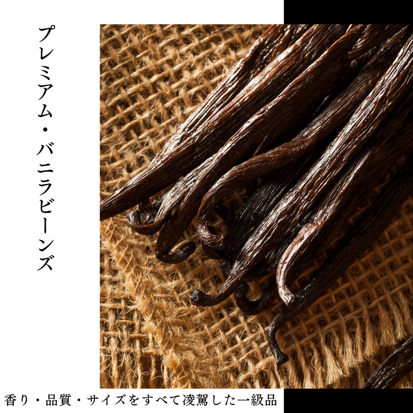 タヒチ種バニラビーンズ 500g 通常グレード 135cm以上
