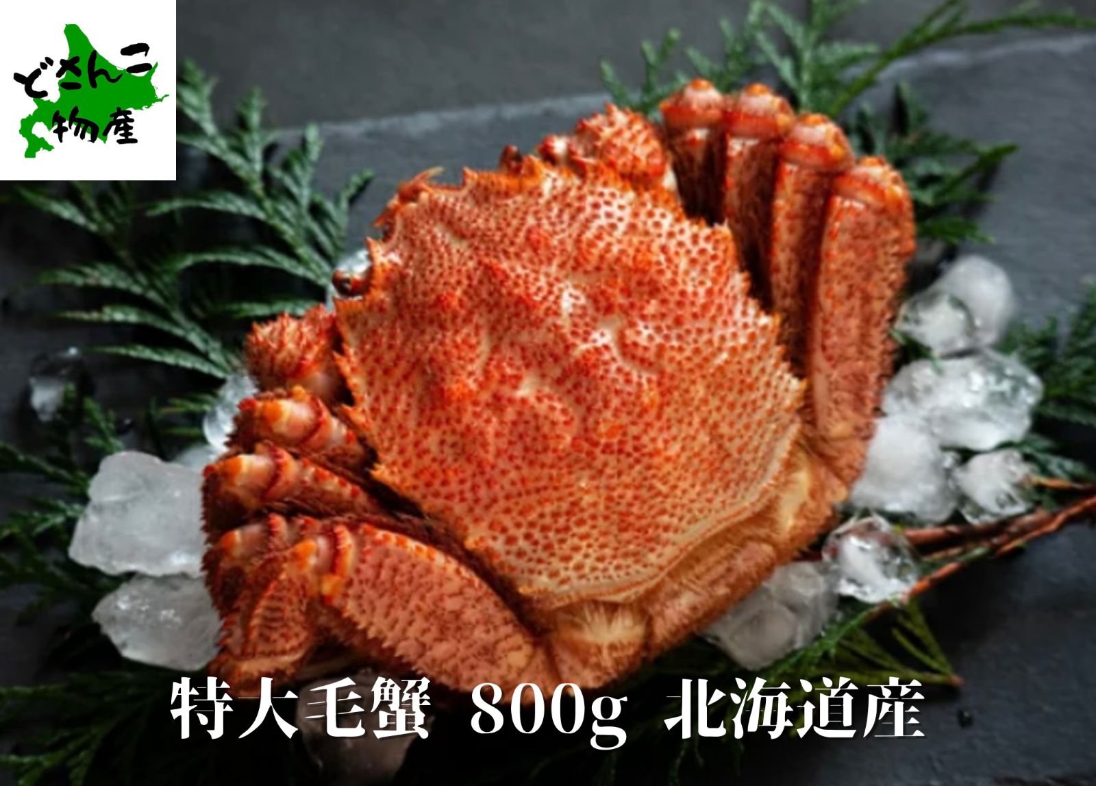 ハンドメイド オーダー受付ページ ♡ブラインドボックスにゃんこ