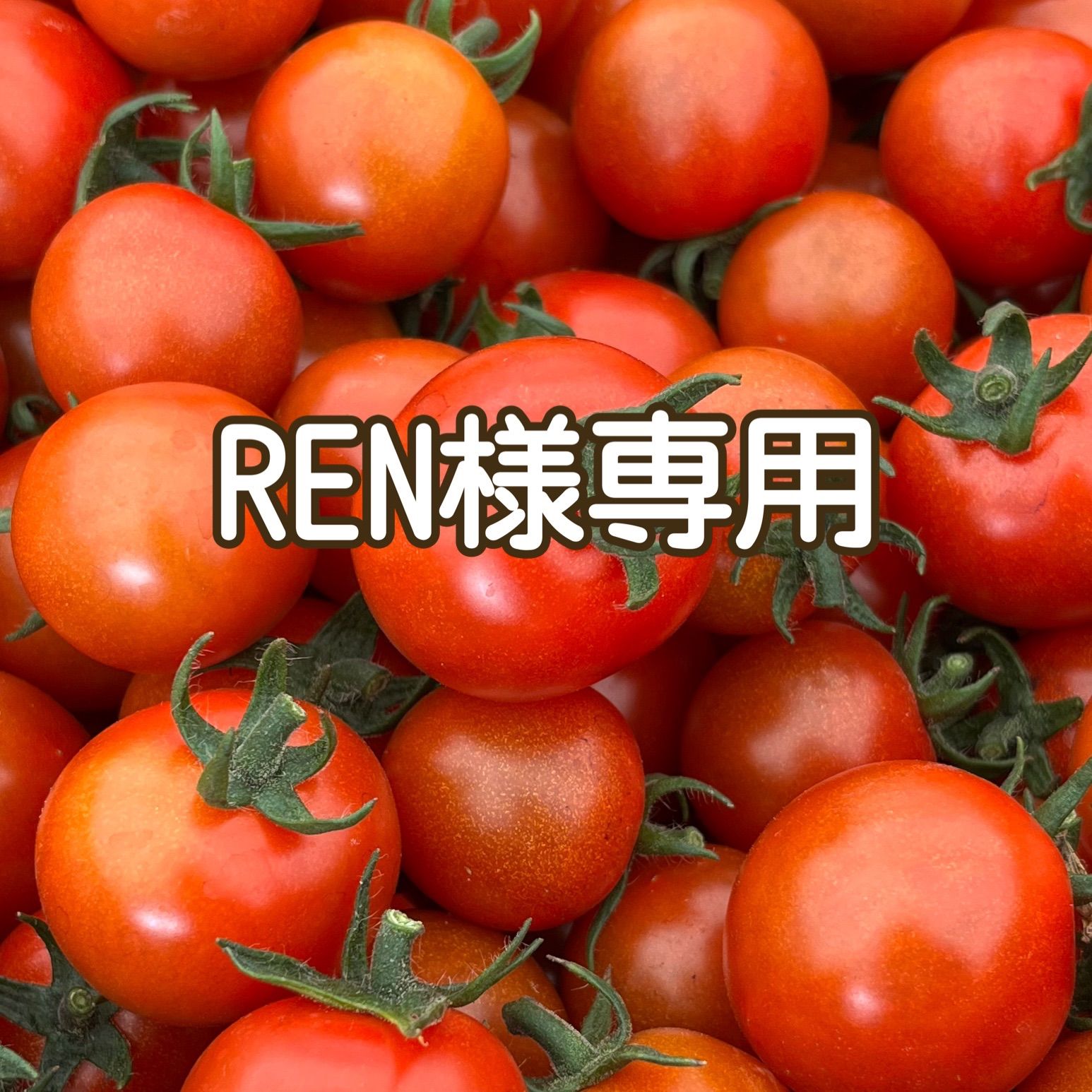 Ren 様専用 いじらしい