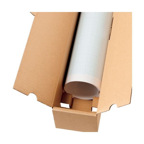 TANOSEEポスターケース ダンボール 100サイズ 1パック 50枚