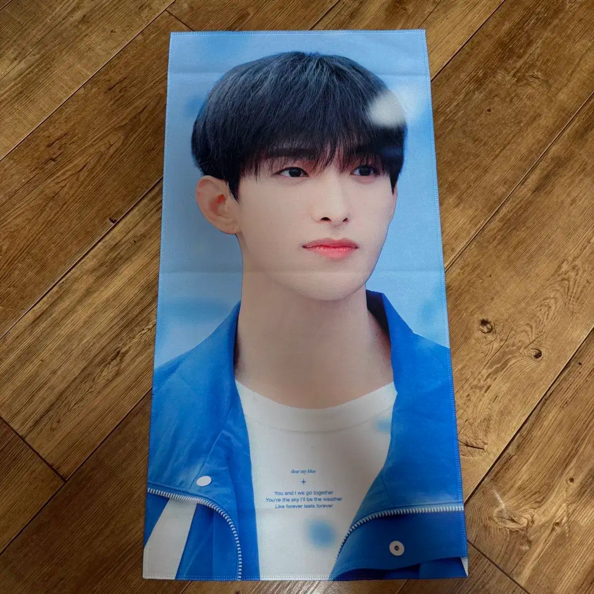 SEVENTEEN セブチ トレカ ドギョム 公開放送 attacca サノク Seventeen