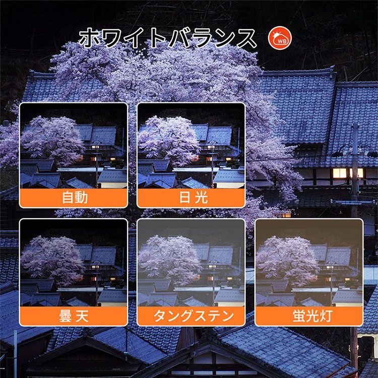 コンパクト 初