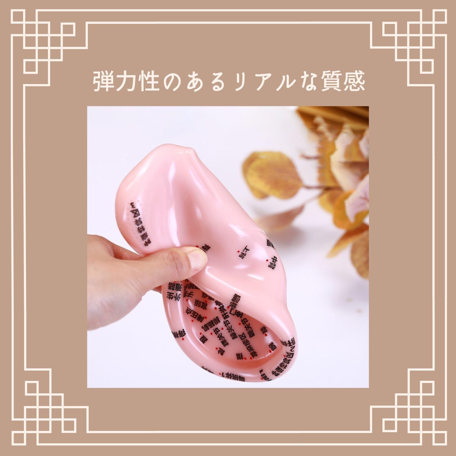 mamota 耳模型 耳つぼ 耳つぼ模型 耳つぼジュエリー 耳介図 耳鍼