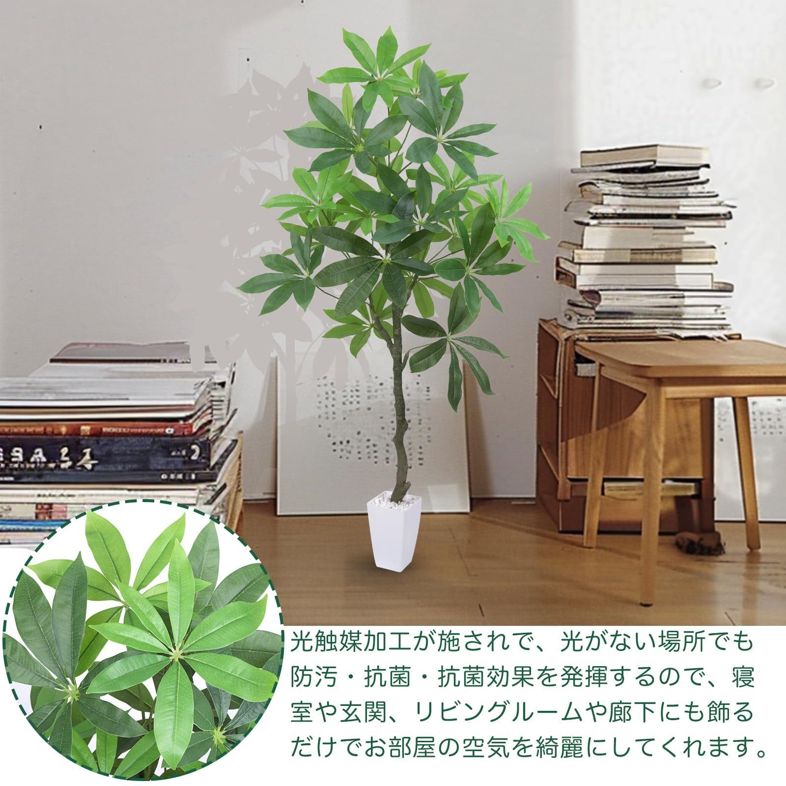 インテリアグリーン