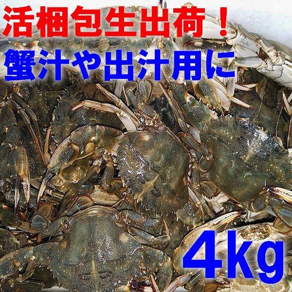 活梱包「生出荷！石蟹小サイズ４kg」 カニ汁用 蟹汁 味噌汁 中華料理 約80杯 イシガニ 蟹料理  蟹出汁ラーメンに！贈答に！活カニ 活蟹 生蟹 生カニ 活かに 生かに