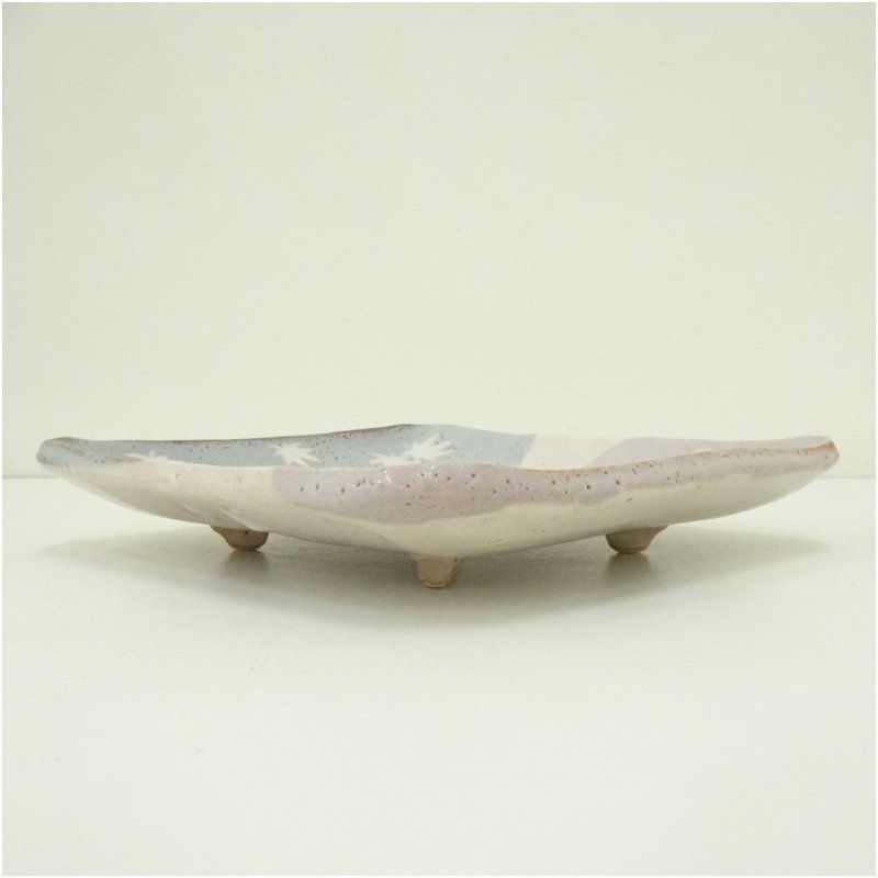 仙山窯造 安藤日出武 志野春秋平皿（共箱） 食器 おしゃれ かわいい