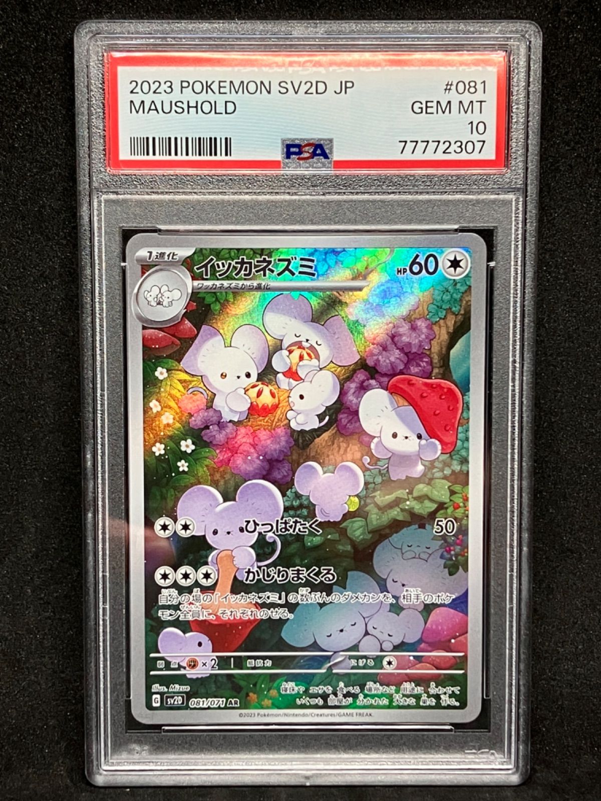 フォロワー割引クーポン対象 ポケモンカードゲーム イッカネズミ ar